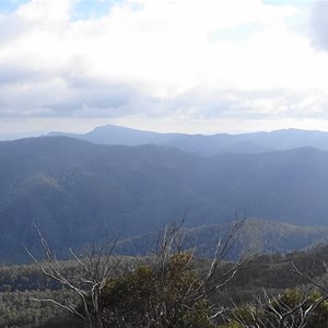 Mt Thorn to right of Picture as seen from Picture Point on King Billy Track
