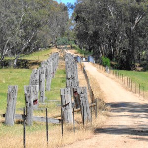 Remains of trestle bridge between Cathkin & Molesworth