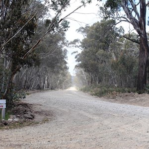 The Tamboritha Road continues into the mountains.