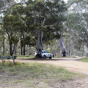 Tamboritha Saddle