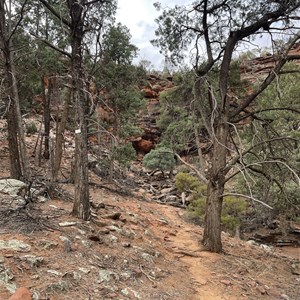 Ferntree Falls