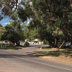 Shady picnic area