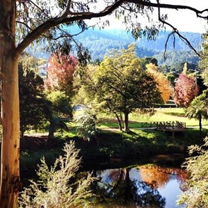 Yarra River park