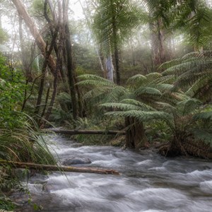 The Yarra at Warburton