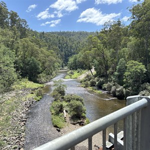 Coopers Creek