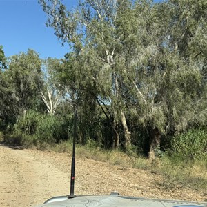 Camp site near Ryans bend
