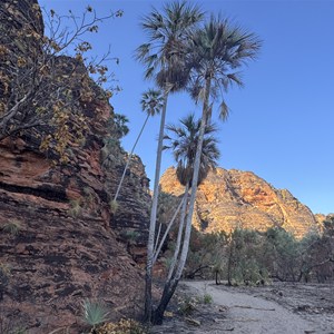 Jarnem Walk