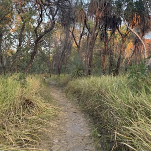 Jarnem Walk
