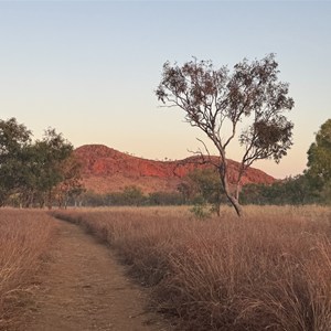 Jarnem Walk