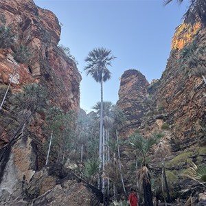 Jarnem Walk