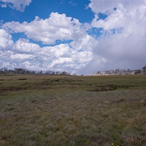 Dargo High Plains