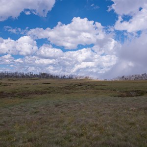 Dargo High Plains