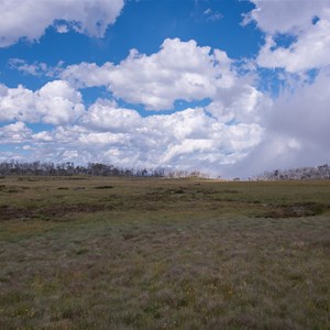 Dargo High Plains