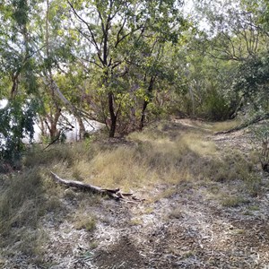 Marella Campsite 2