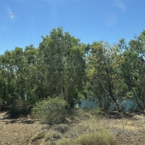 Marella Campsite 2