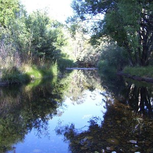 Tambo River