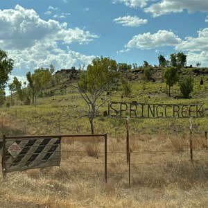 Cattle grid
