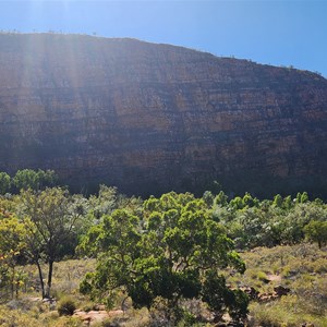 Champagne Springs