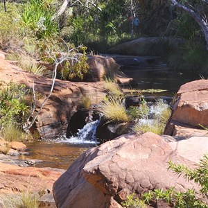 Champagne Springs