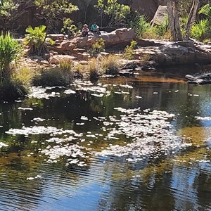Champagne Springs
