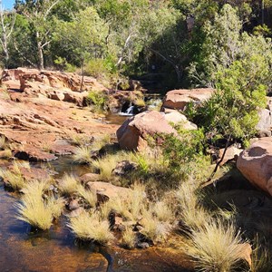 Champagne Springs