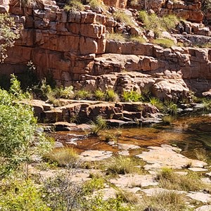 Champagne Springs
