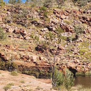 Champagne Springs