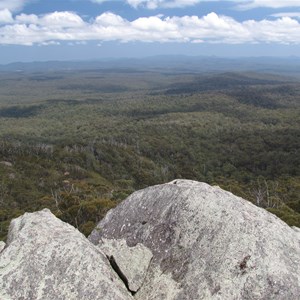 View north into NSW