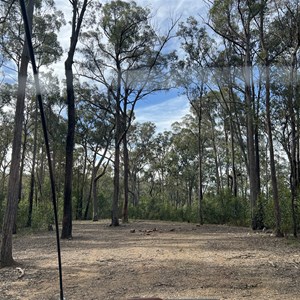 Roadside Clearing