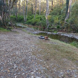 Hortons Creek Campsite
