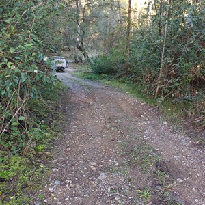 Hortons Creek Campsite
