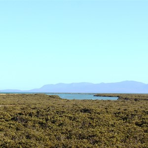 Franklin River estuary