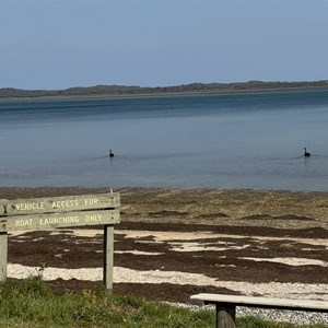 Shallow Inlet