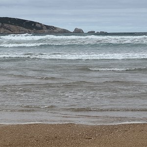 Tongue Point