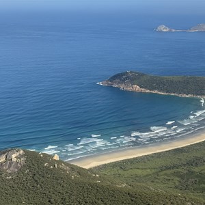 Norman Bay