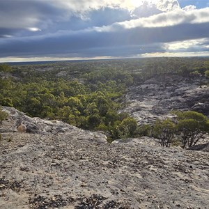 Lookout