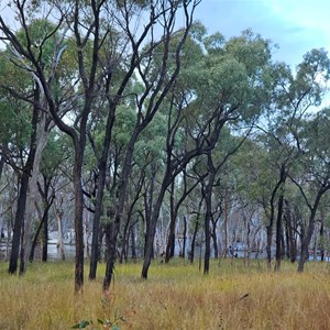 Big Swamp