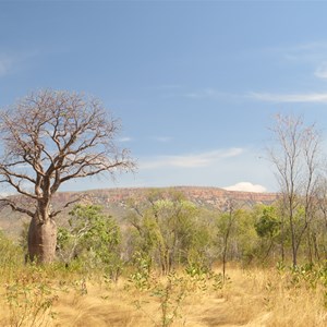 View from Karunjie Track