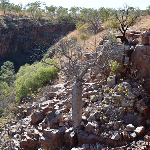 The Grotto 