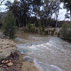 Joseph Wills park