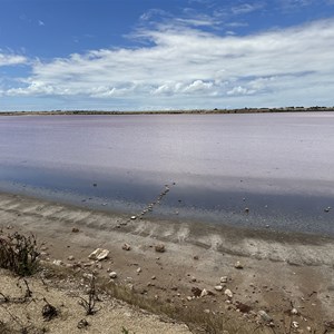 Pink Lake Viewing Area