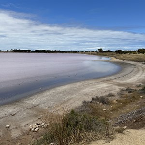 Pink Lake Viewing Area