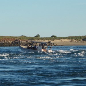 Riding the rapids