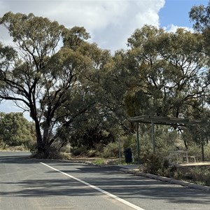 Curlwaa Rest Area