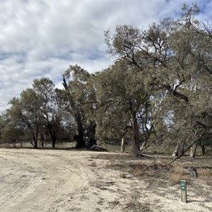 Campsite 19