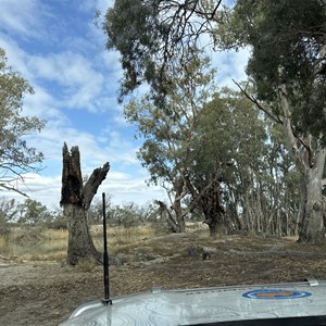 Campsite 19