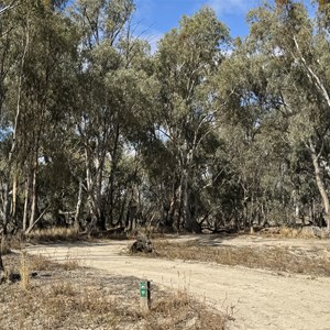 Campsite 17 Chowilla Game Reserve