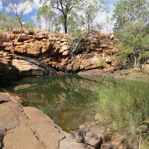 Paradise Pool