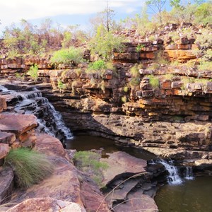 Grevillea gorge