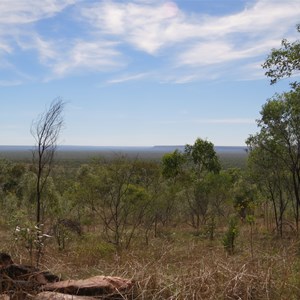 View NE to Barnett Range